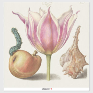 Renaissance Calligraphy Art Pink Tulip and Pear