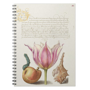 Renaissance Calligraphy Art Pink Tulip and Pear Notebook