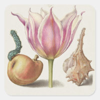Renaissance Calligraphy Art Pink Tulip and Pear