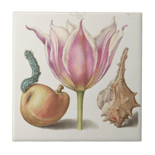 Renaissance Calligraphy Art Pink Tulip and Pear Tile
