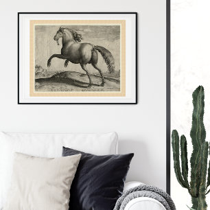 Renaissance Stallion Spanish Horse by Stradanus Poster