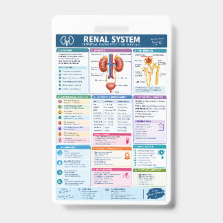 Renal System Analysis Nursing Reference, Kidney Ba ID Badge