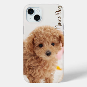 Rename your poodle dog on the phone cases