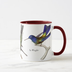 René Primevère Lesson - Three Pretty Hummingbirds Mug