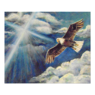 Renewed Strength: Eagle Wings Photo Print