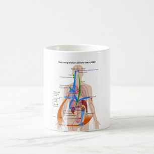 Renin Angiotensin system (RAS) Diagram Coffee Mug