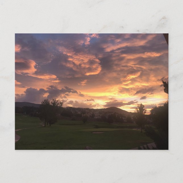 Reno Sunset  Postcard (Front)