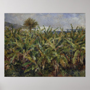 Renoir - Field Of Banana Trees Poster