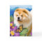 RENY heARTdog chow