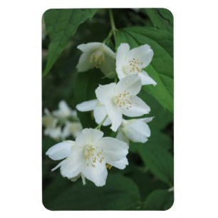 Replace Jasmine Photo Vertical Make Personalised Magnet