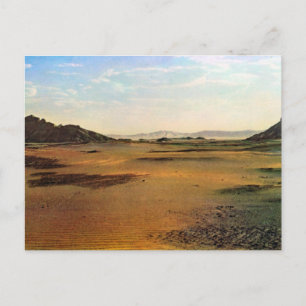 Replica Vintage Libya, Wadi in the Sahara Postcard
