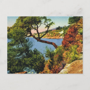 Replica Vintage postcard, Toulon, Cap Brun Postcard