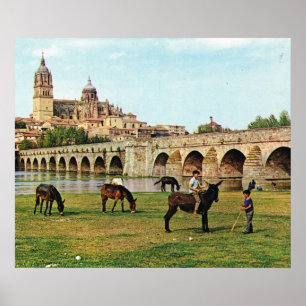 Replica Vintage Spain, Salamanca, Cathedral Poster
