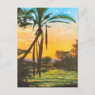 Replica Vintage Zambezi River, above Falls Postcard