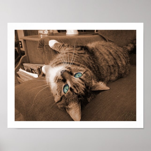 Repose in Twill Poster (Front)