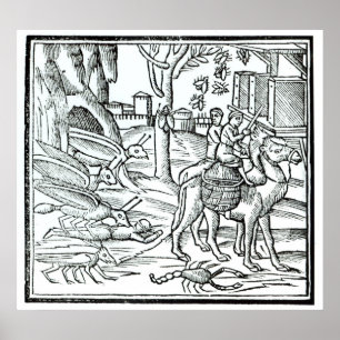 Representation of the Plague, 1572 Poster