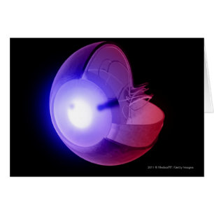 Representation of the structure of the eye