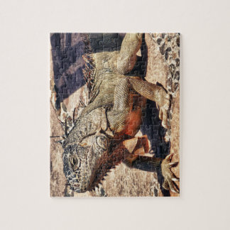 Reptile Jigsaw Puzzle