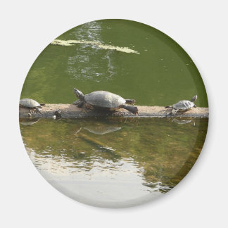 reptile merchandise magnet