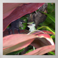 Reptile Warfare
