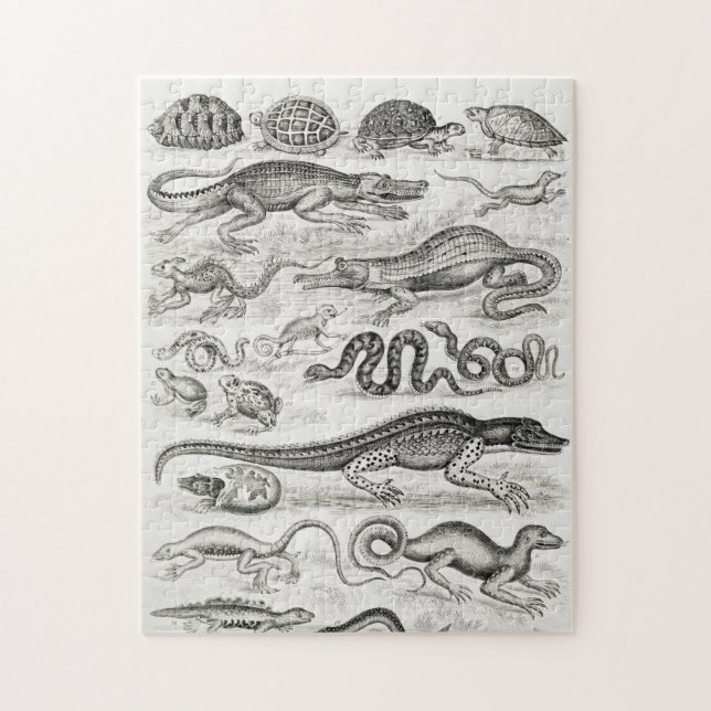 Reptiles Alligators Jigsaw Puzzle (Vertical)