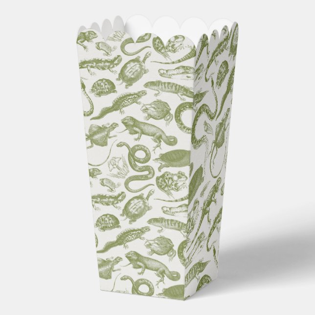 Reptiles and Amphibians Animals Goblincore Pattern Favour Box (Front)