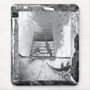 Reptiles Basking Mouse Mat