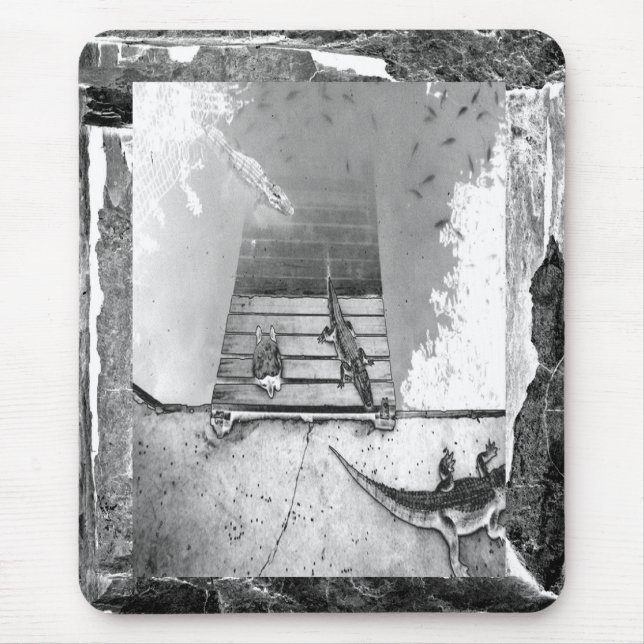 Reptiles Basking Mouse Mat (Front)