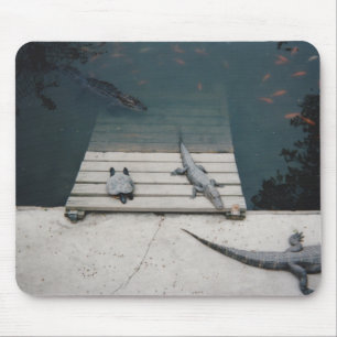 Reptiles Basking Mouse Mat