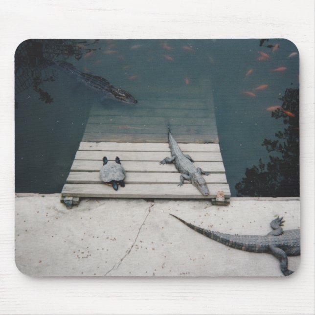 Reptiles Basking Mouse Mat (Front)