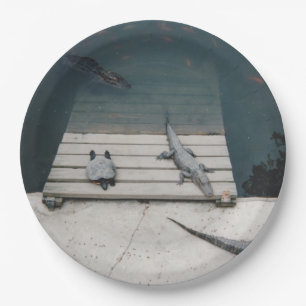 Reptiles Basking Paper Plate