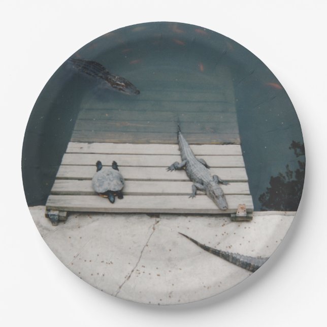 Reptiles Basking Paper Plate (Front)