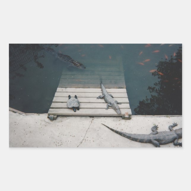 Reptiles Basking Rectangular Sticker (Front)