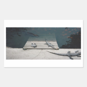 Reptiles Basking Rectangular Sticker
