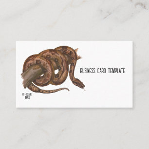 Reptiles Boa Constrictor Snake Business Card