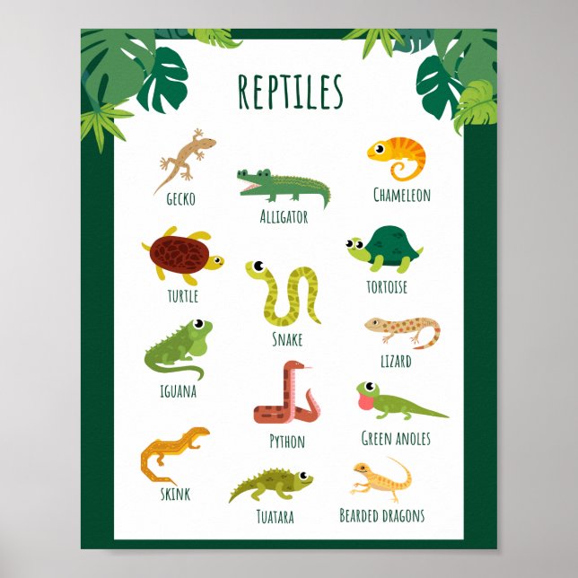 Reptiles School Education Learning Poster (Front)