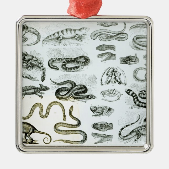 Reptiles, Serpents and Lizards Metal Tree Decoration (Front)