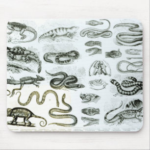 Reptiles, Serpents and Lizards Mouse Mat