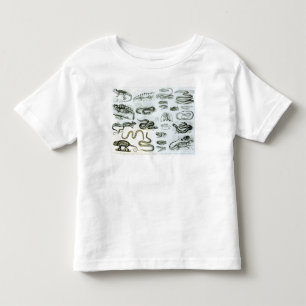 Reptiles, Serpents and Lizards Toddler T-Shirt
