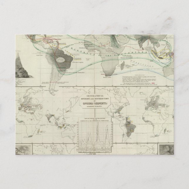 Reptilia, Ophidia Postcard (Front)