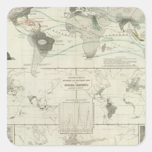 Reptilia, Ophidia Square Sticker (Front)