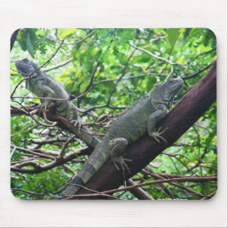 Reptilian Repose Mouse Mat