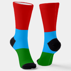 Republic of Karelia Flag Socks