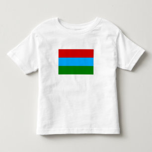 Republic of Karelia Flag Toddler T-Shirt