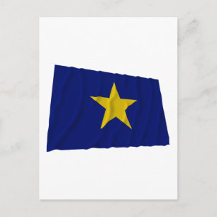 Republic of Texas Flag Postcard