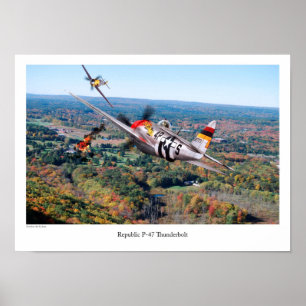 Republic P-47 Thunderbolt Poster