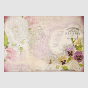 Republica Mexicana Map Decoupage  Tissue Paper