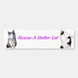 Rescue A Shelter Cat Bumper Sticker