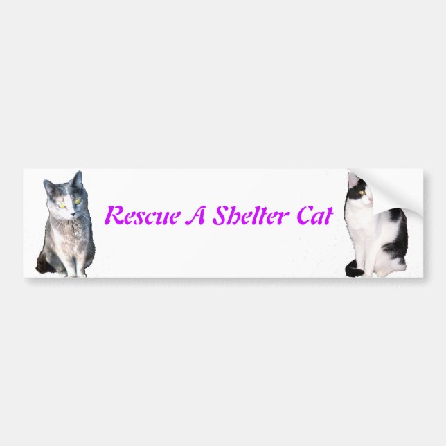 Rescue A Shelter Cat Bumper Sticker (Front)