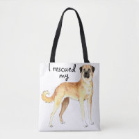 Rescue Anatolian Shepherd Dog